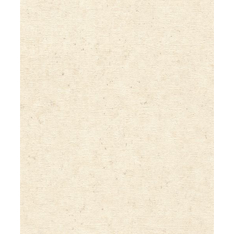 Tapete 520835 Rasch Concrete + Mengenrabatt