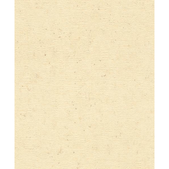 Tapete 520842 Rasch Concrete + Mengenrabatt